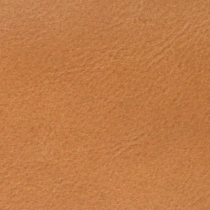 Camel Tan