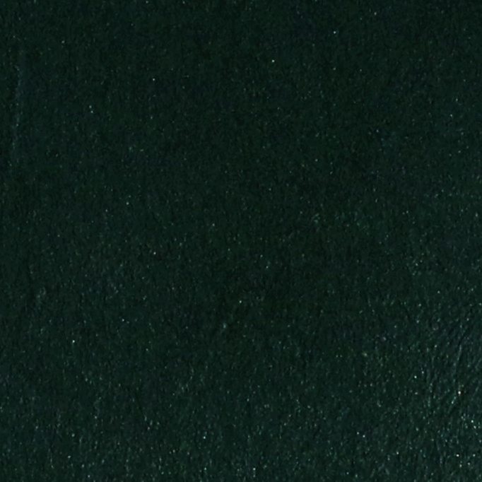 Dark Teal