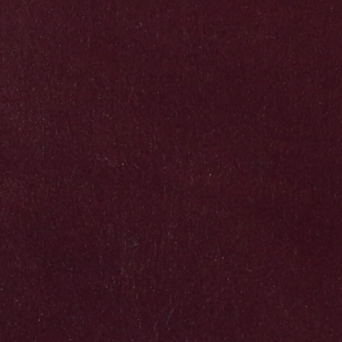 Beet