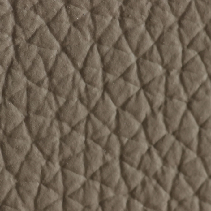 Camoscio