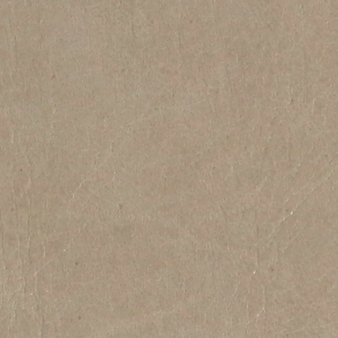 Veritus Ivory