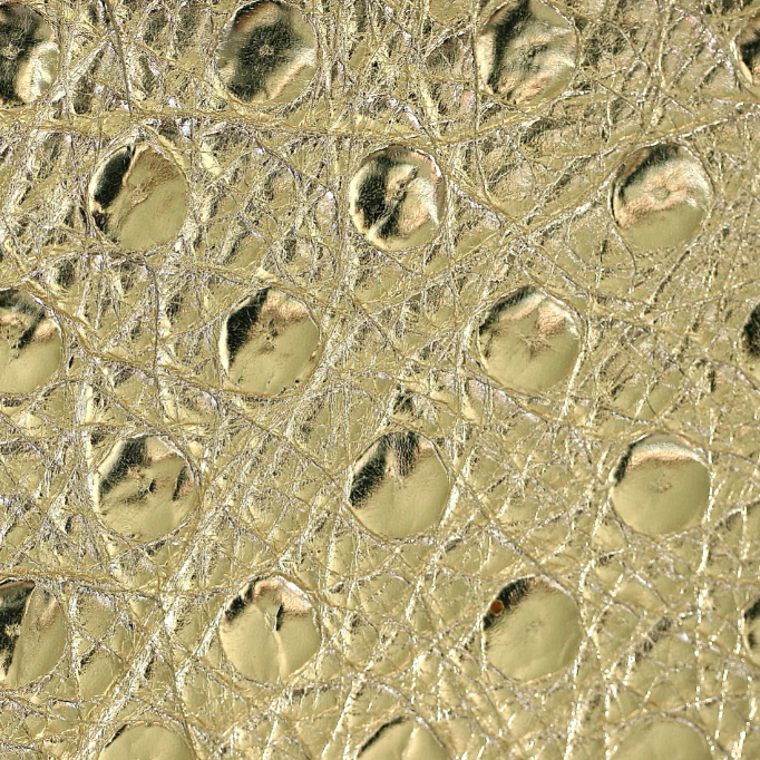 Struzzo Oro