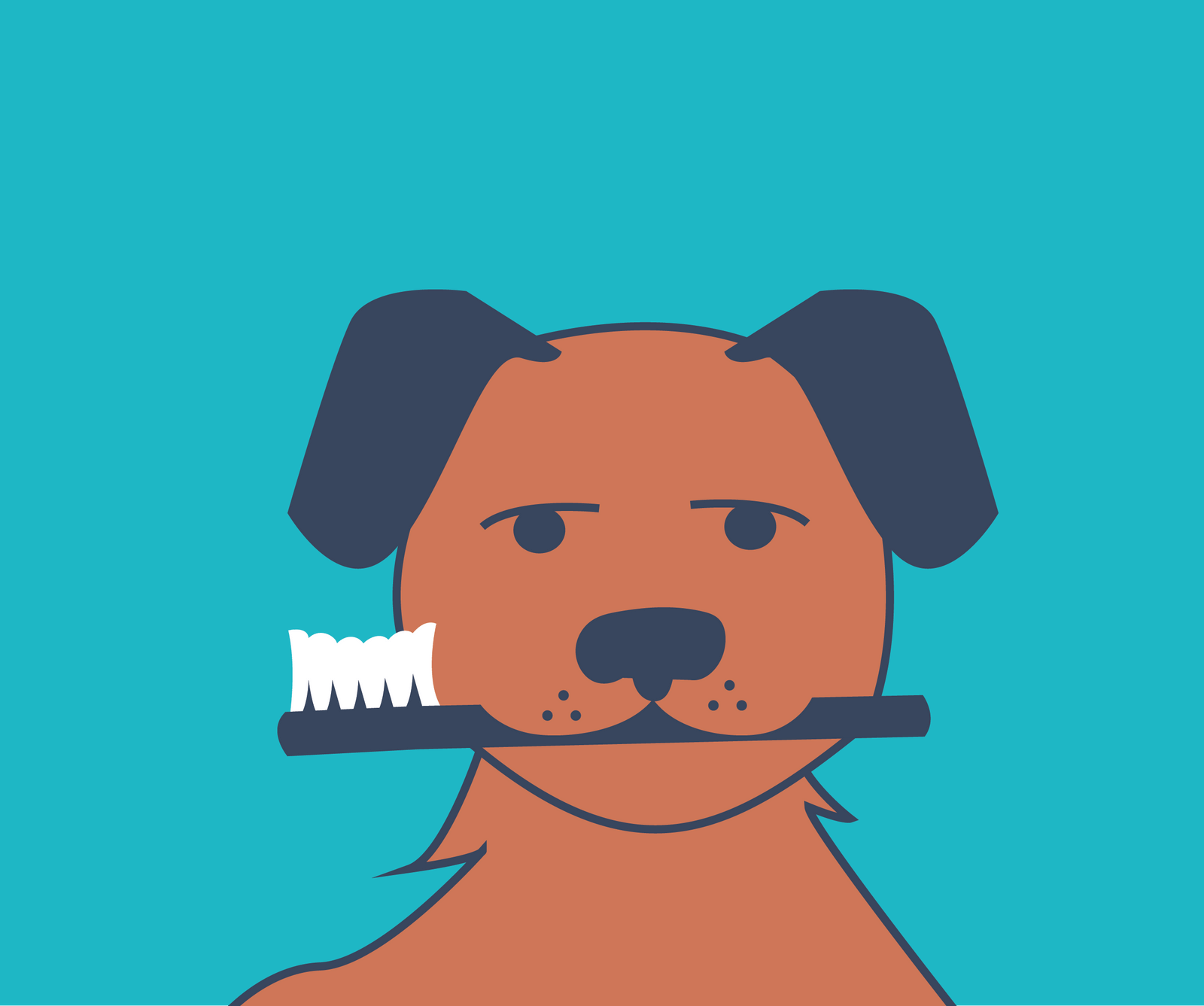 Q Should I brush my dog's teeth? Dental Image Therapy Centres