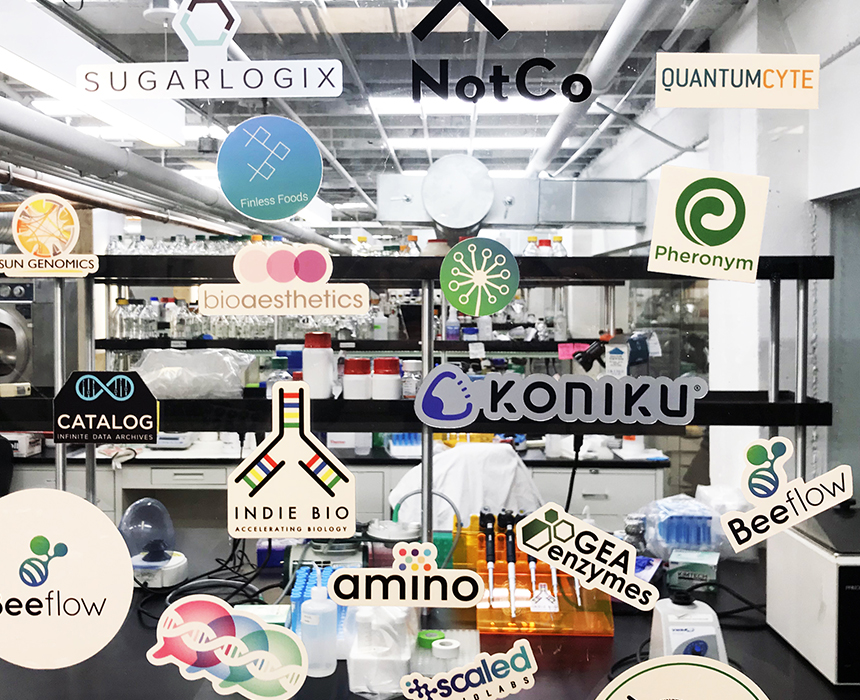 Evolved Materials: biology is changing the way we eat, drink, breathe, & compute