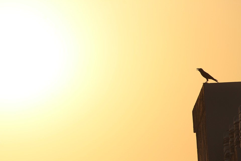 Does bright sunshine always mean better photos?