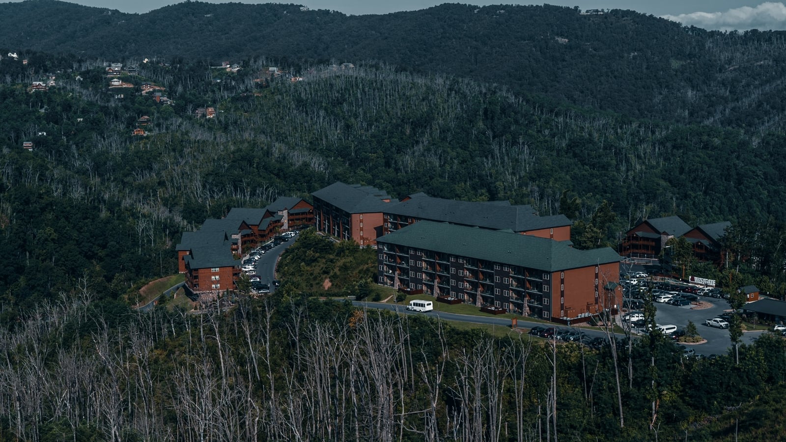 C. Laney & Sons Projects