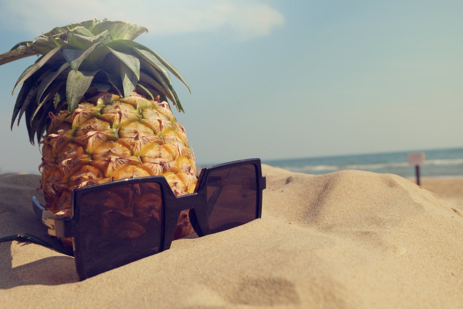 Industrial Design Challenge Statement Pineapple Pizza