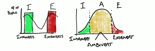 Introverts Ambiverts and Extroverts