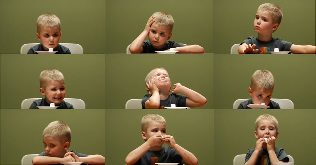 Marshmallow test for entrepreneurs
