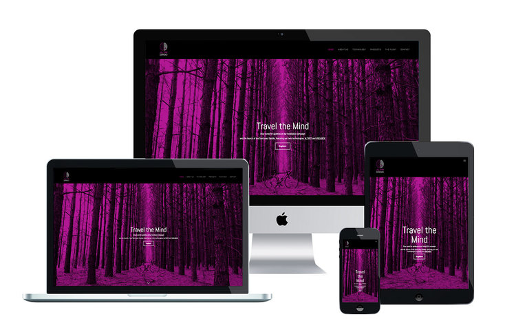 ALTR ERGO website design custom website