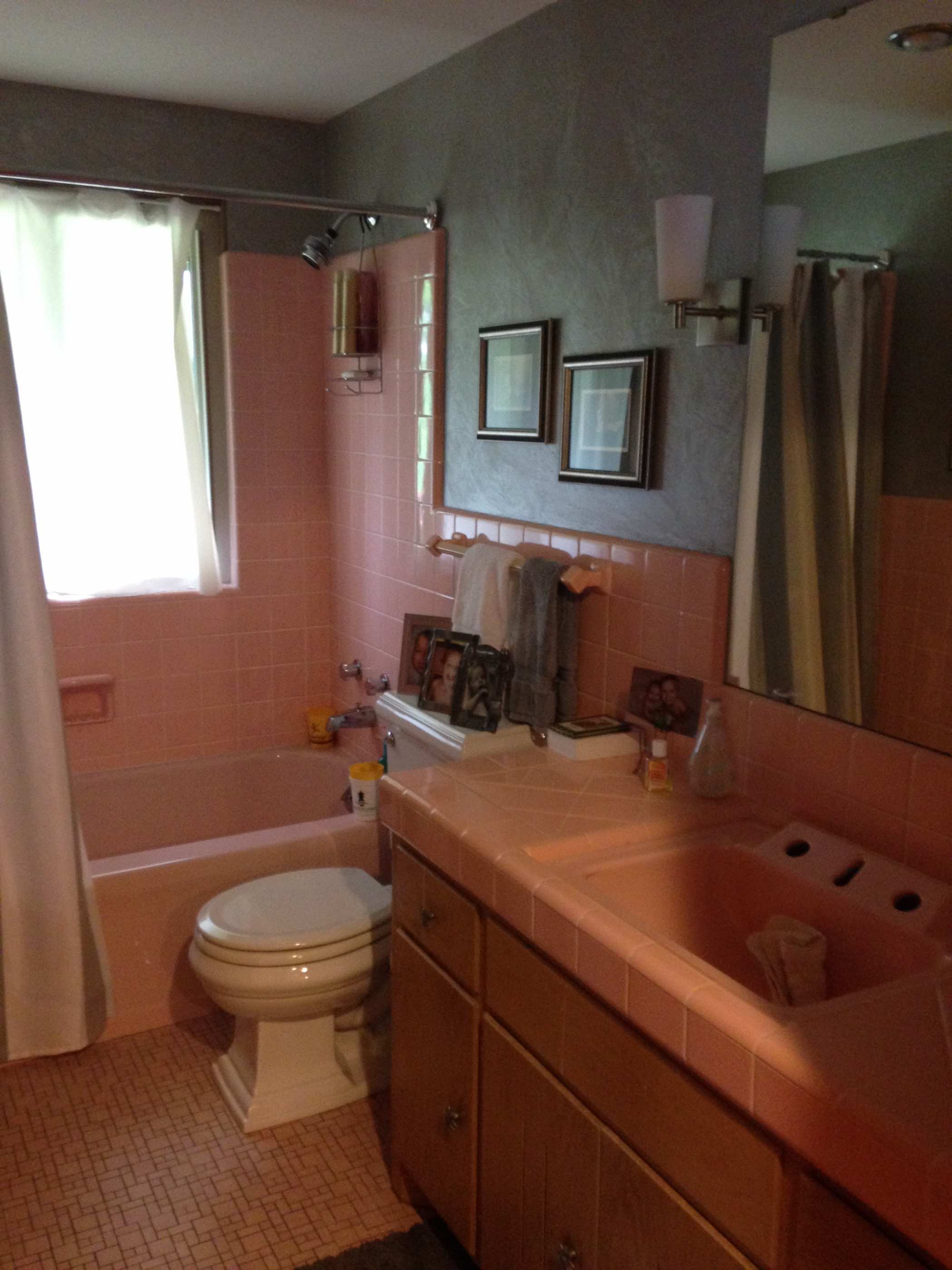 Edina Bathroom Remodel