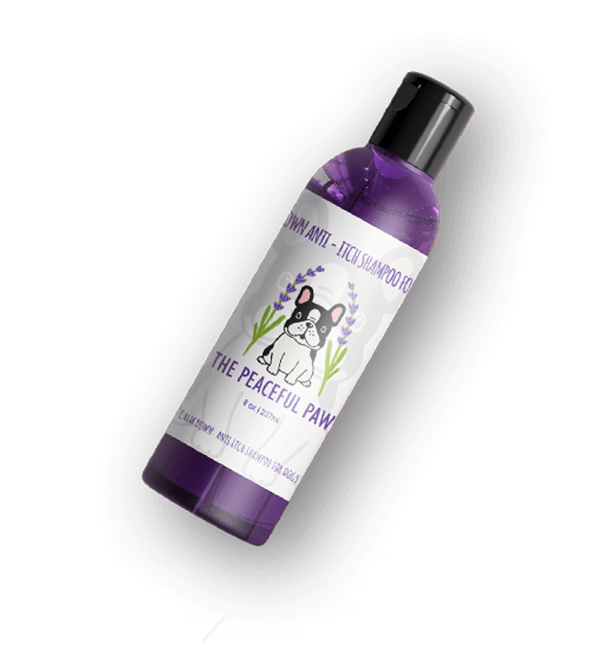 Conditioning Shampoo