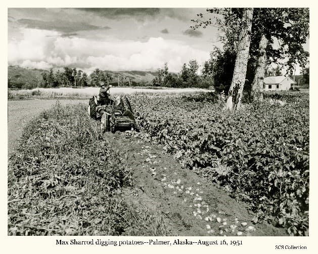 SCS (Soil Conservation Service) Collection, 19501968 Matanuska