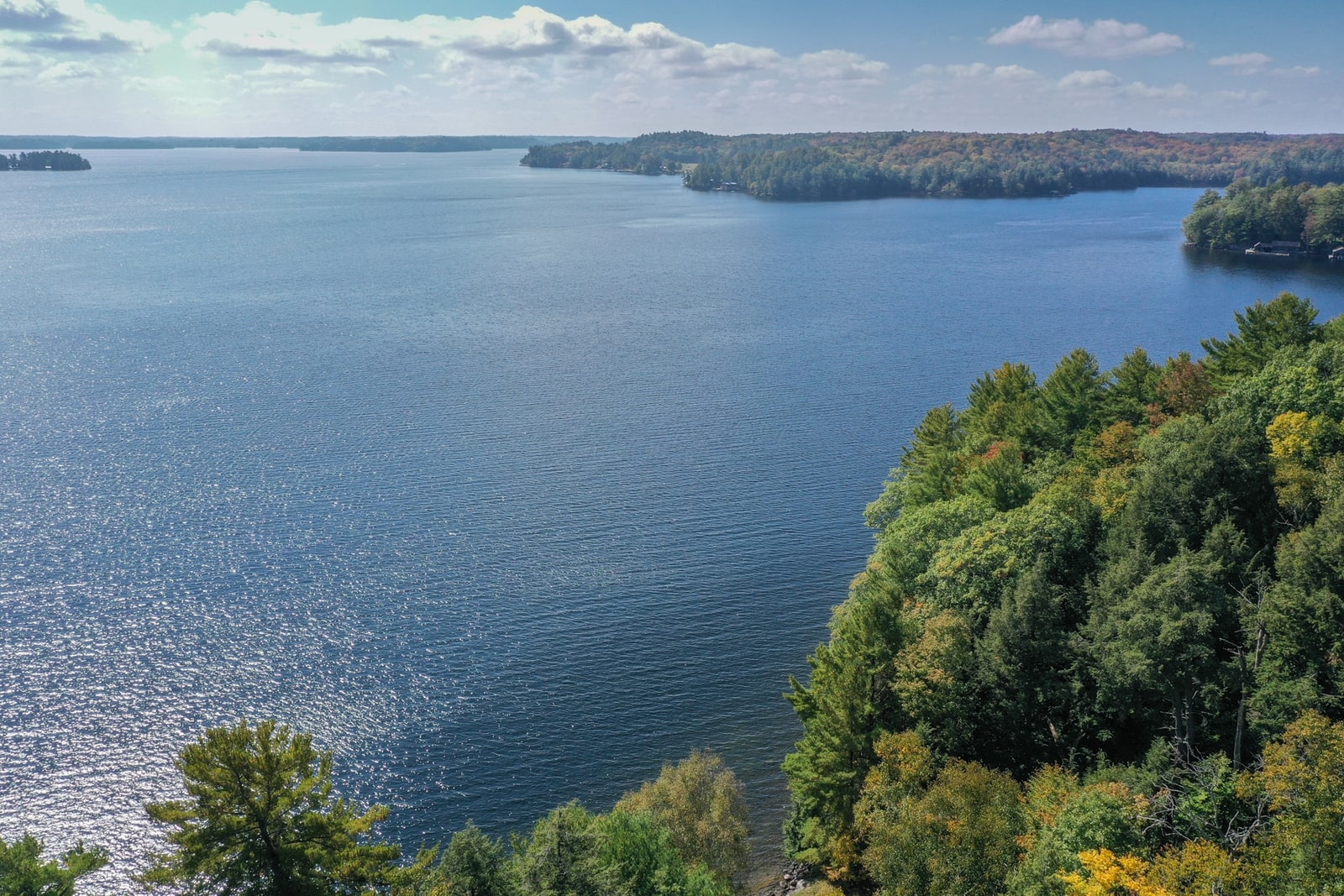 Sandy & Samantha Waldie Real Estate Lake Rosseau Muskoka Real Estate & Chestnut Park Real