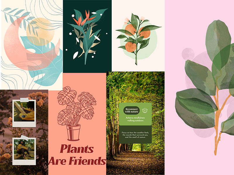 Botanical Art collage