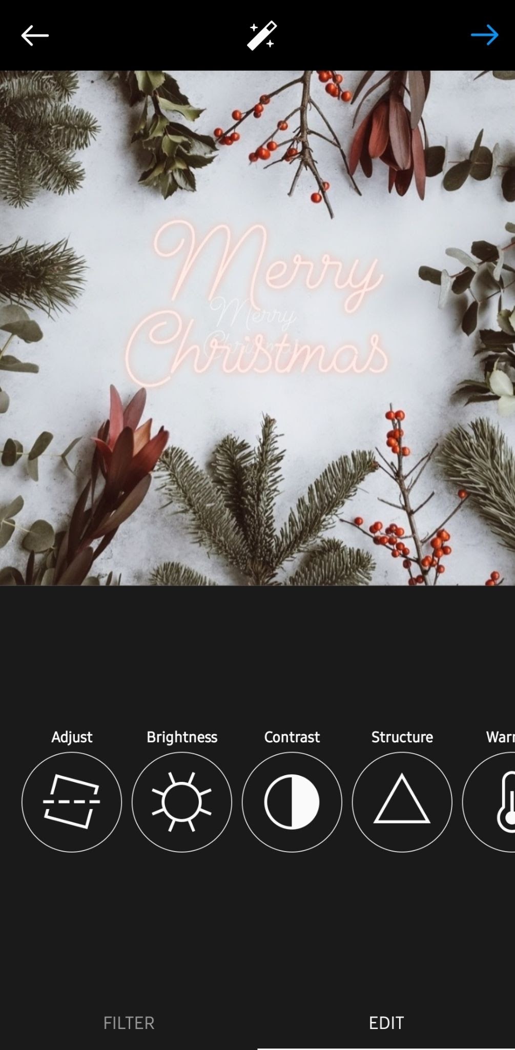screenshot of a picture being edited on the phone that says "Merry Christmas"