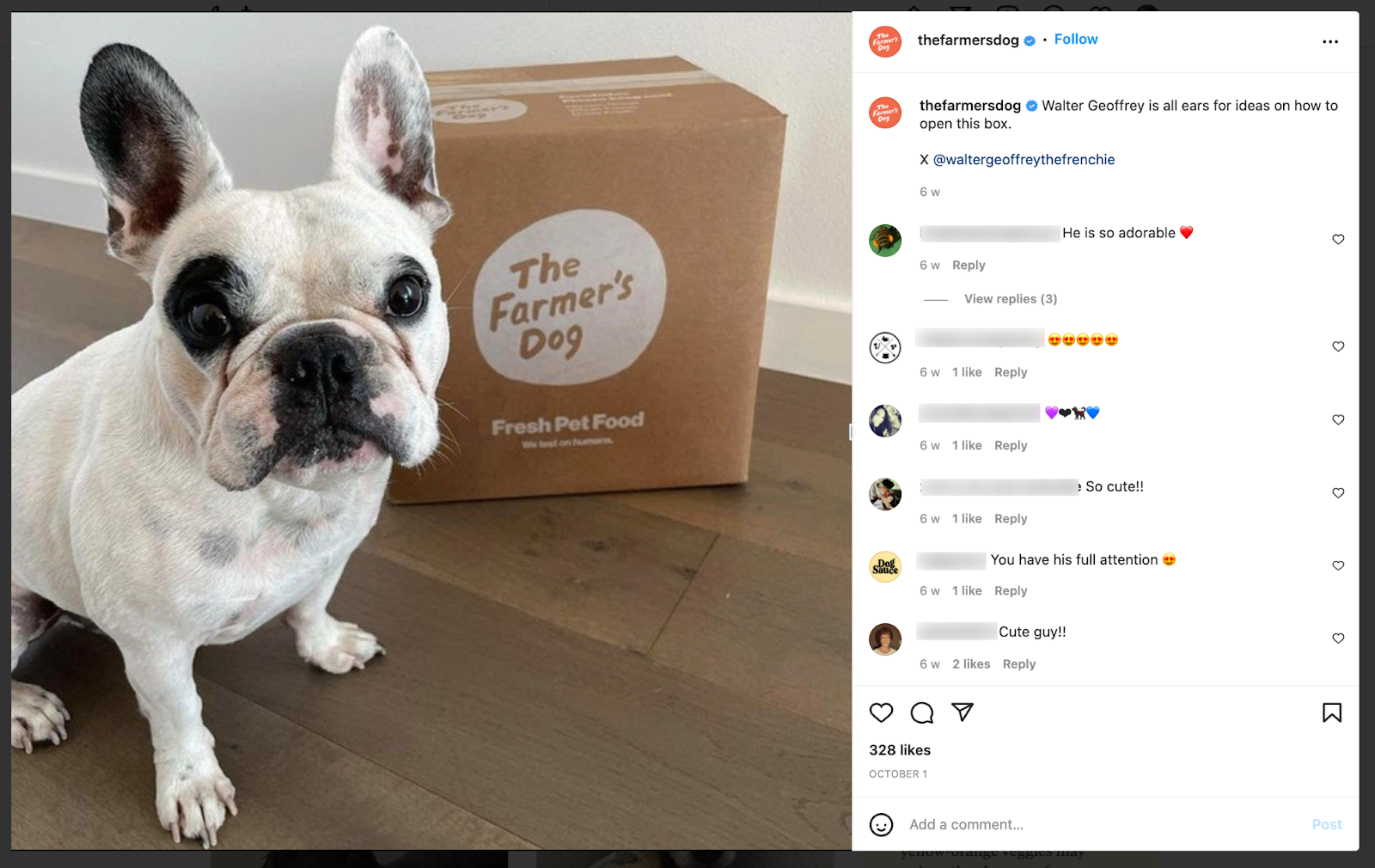 the farmer's dog Instagram post