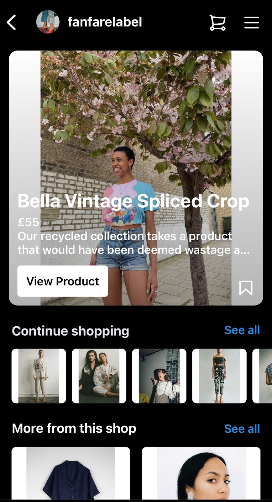 Instagram shopping feature