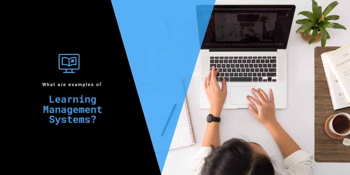 What are examples of learning management systems?