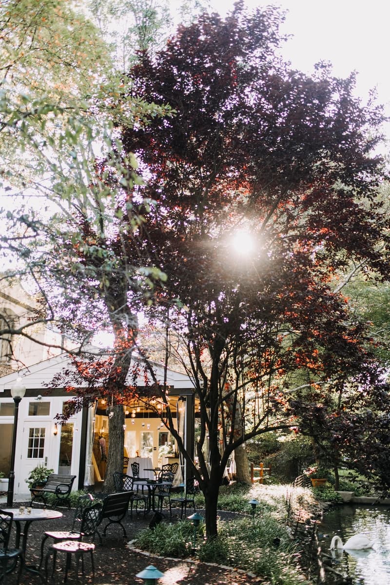 The Setting — Pomme Radnor