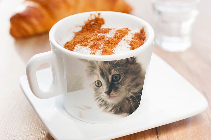 Our Mugs & coasters are ideal as promotional goods to advertise your business.