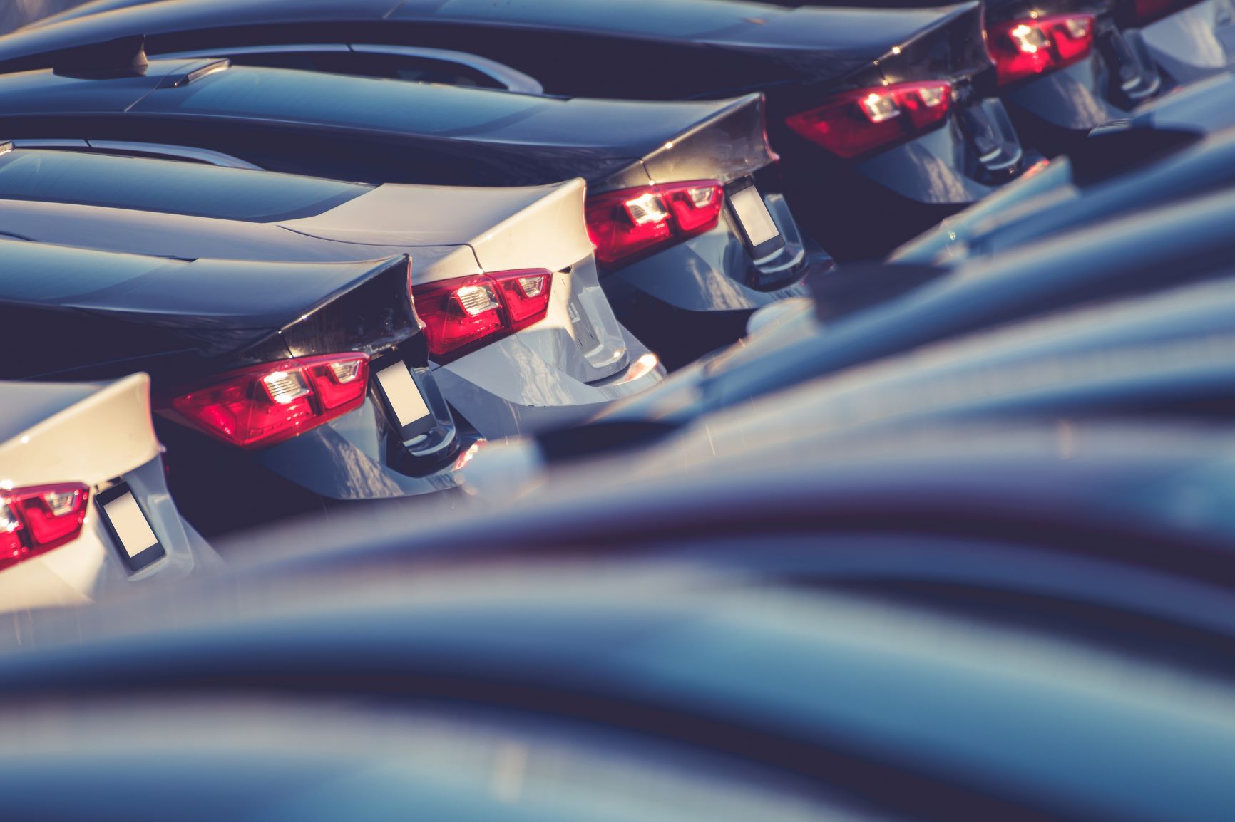 Row of cars in dealership lot