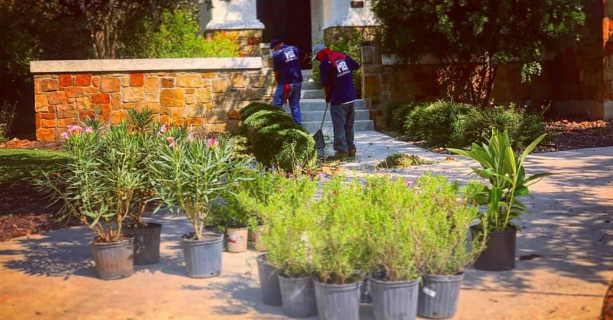 Landscape Design