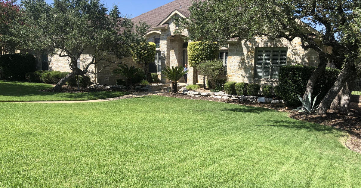 Lawn Mowing