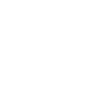 Swiss Life