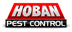 Rentokil Acquires Hoban Pest Control