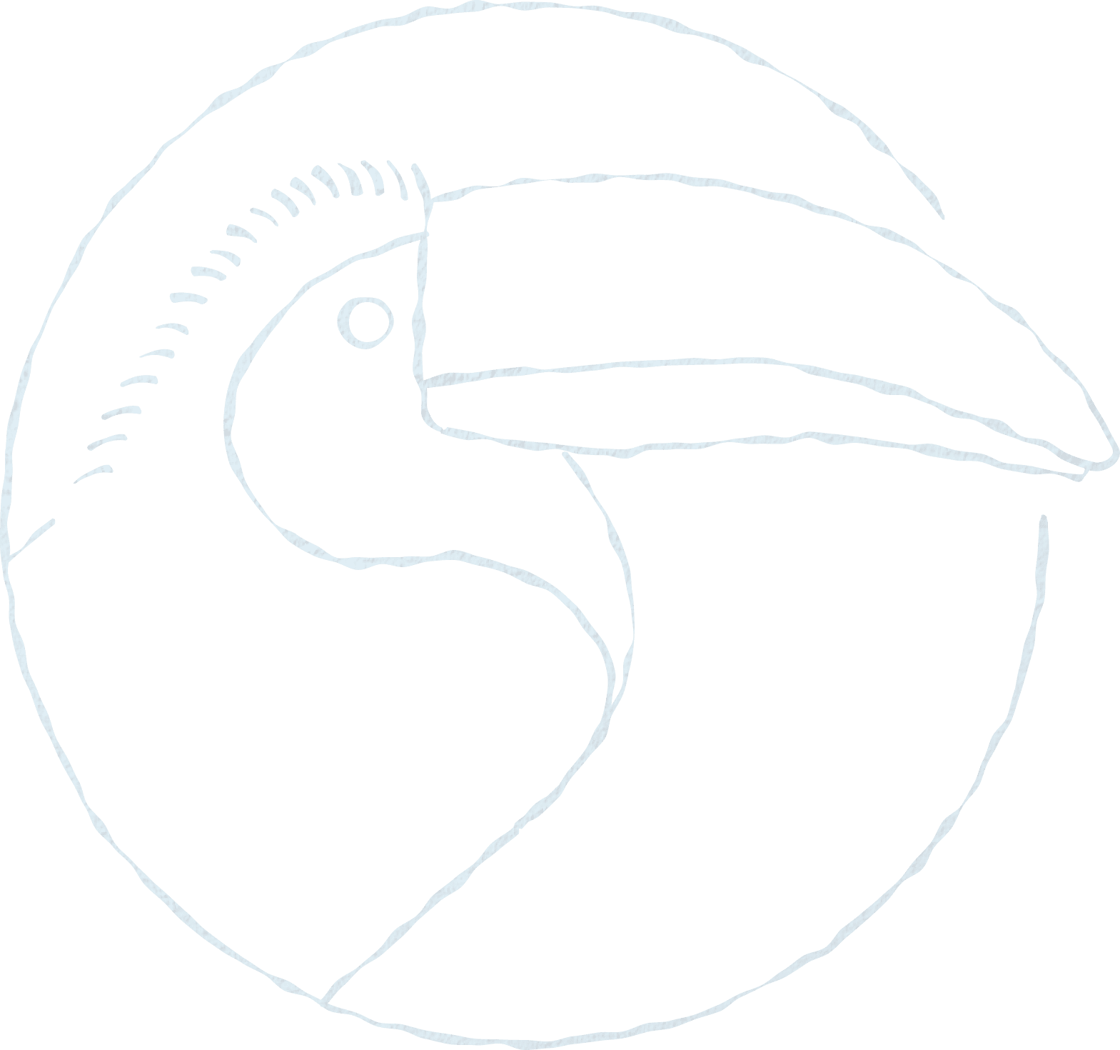 Badge with a Toucan Illustration