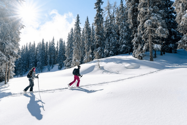 Snowshoe Hike Experimental Chalet Hotel Verbier