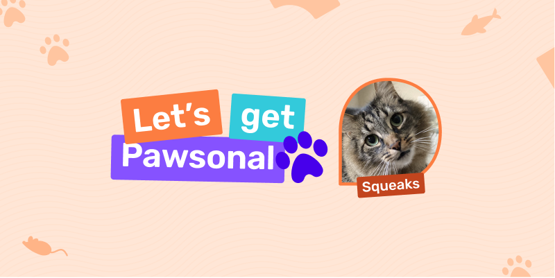 Let's get Pawsonal: Meet Squeaks!