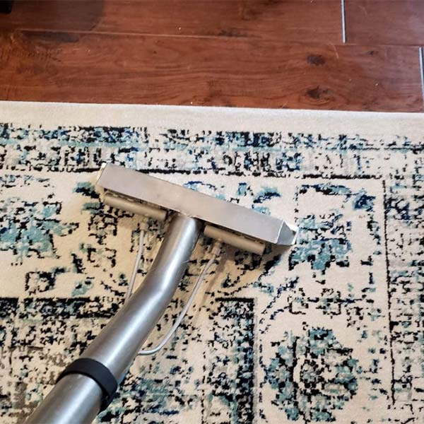 Professional Carpet Cleaning in Pace, FL Kleencare