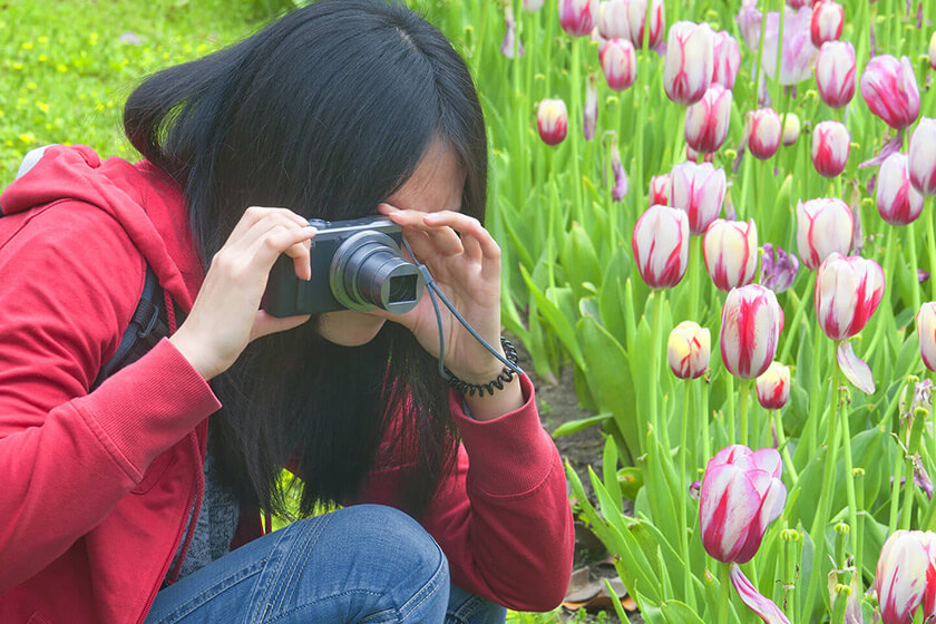 Digital Point and Shoot