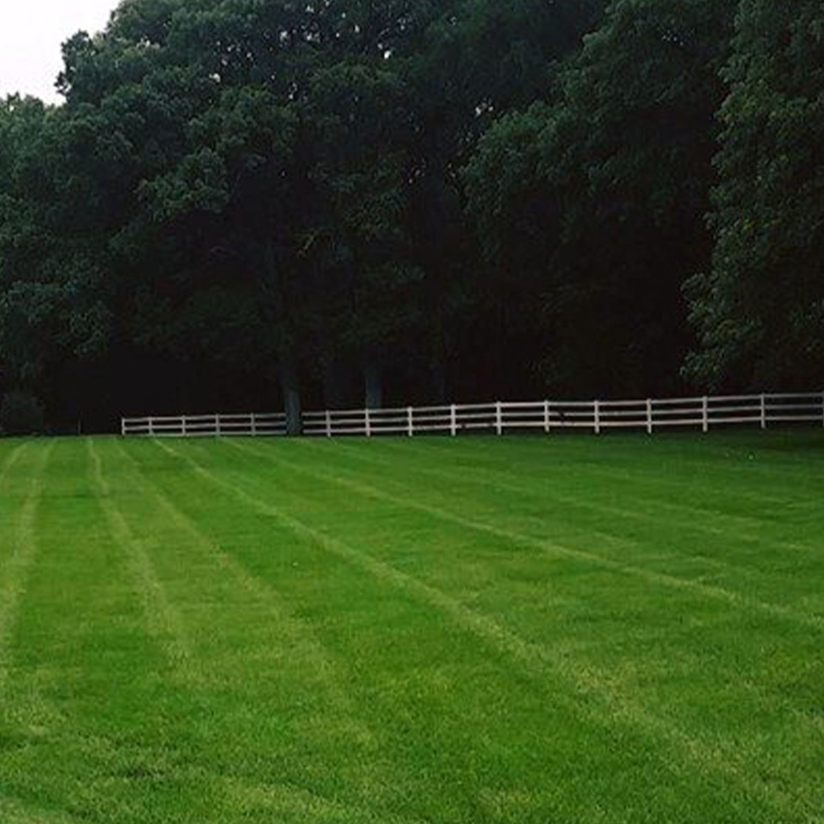 Weed Control