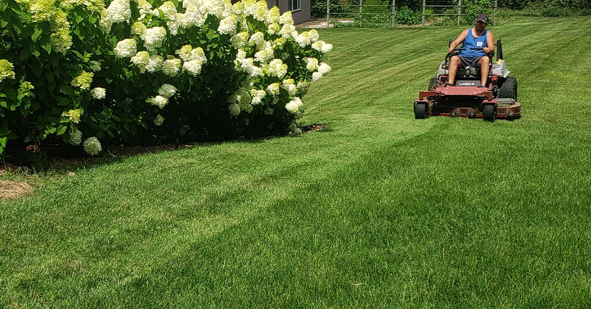 Lawn Mowing Services