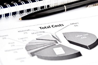 Pie chart with total costs of the company