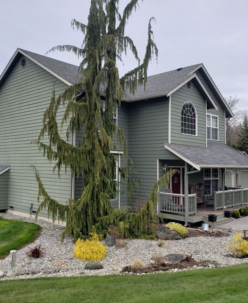 Premium Painting in Snohomish Snohomish Paint Company