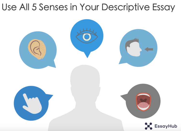 infographics p 5 senses for descriptive essay