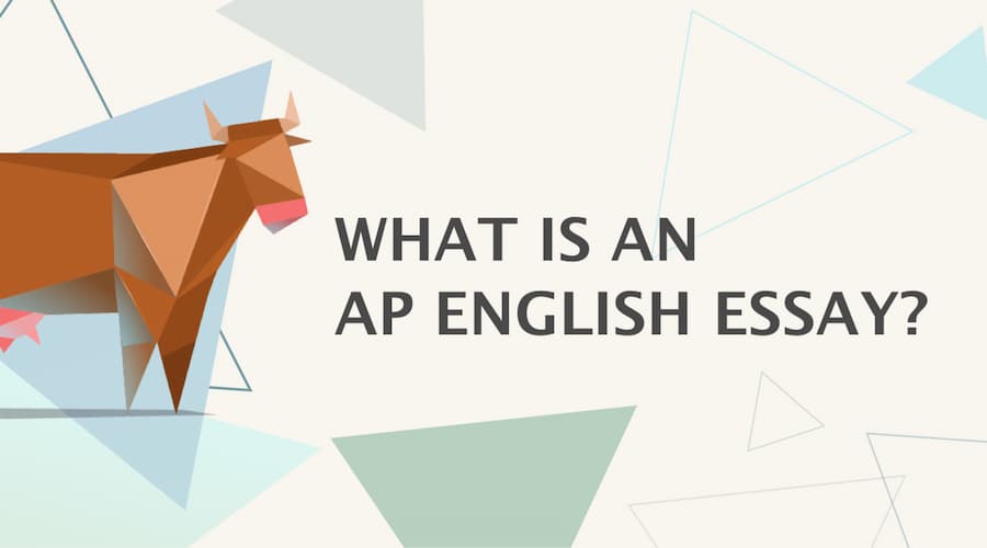 How to Write an AP English Essay