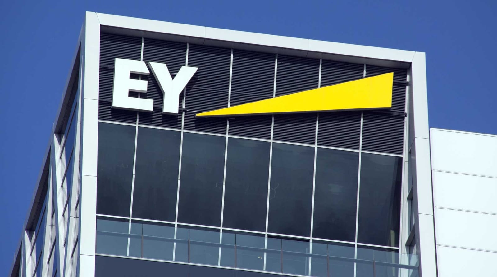 Big 4 Accounting Firm vs. Starting Your own Business (Deloitte KPMG