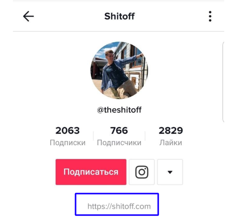 раскрутка tiktok ссылка