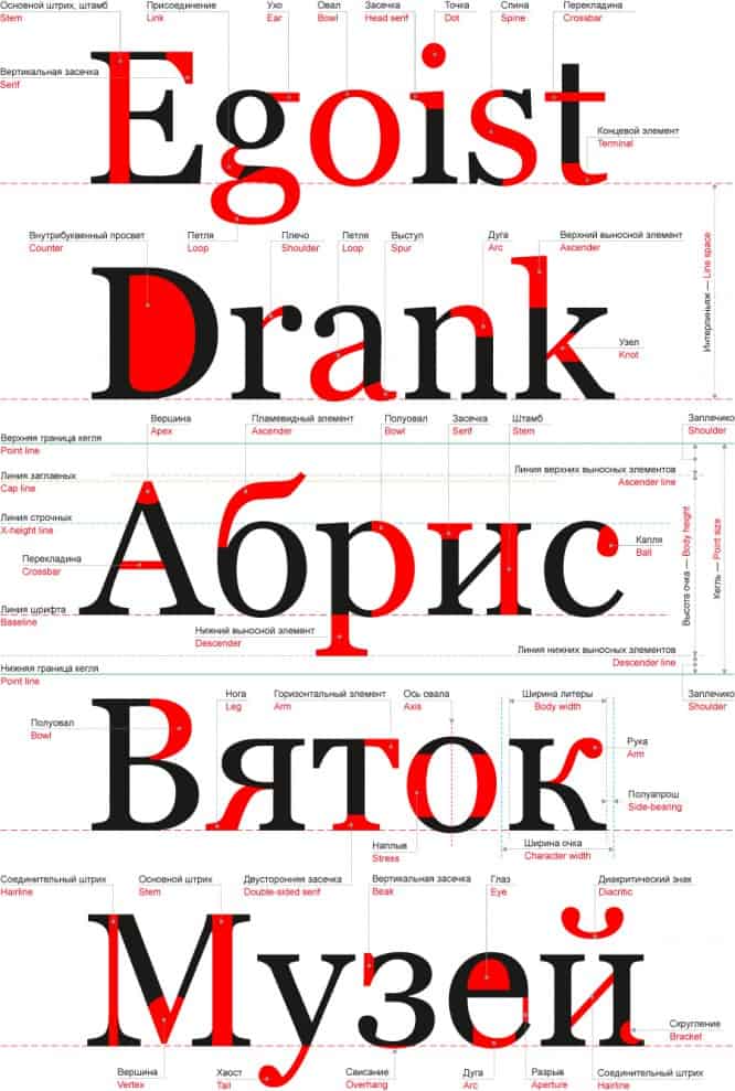 Font-anatomy-sm