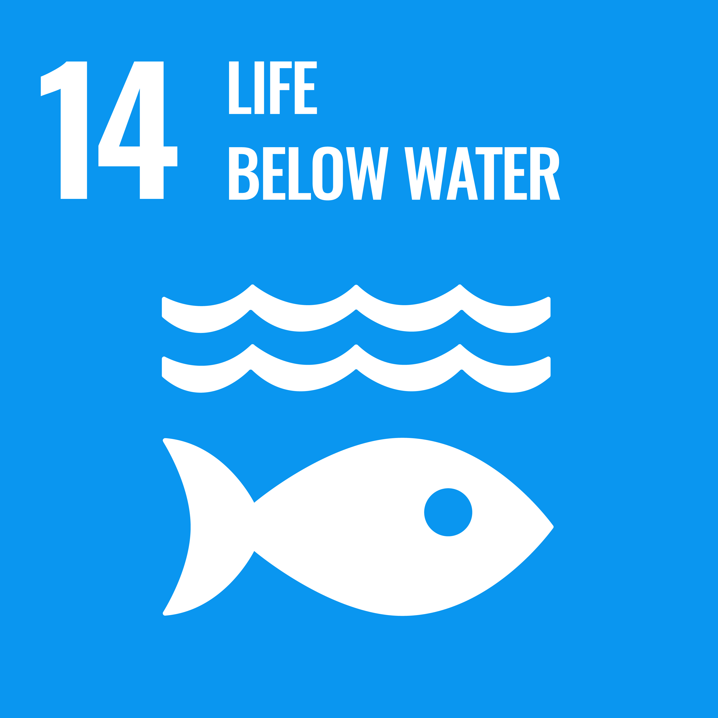UN sustainable development goal 14