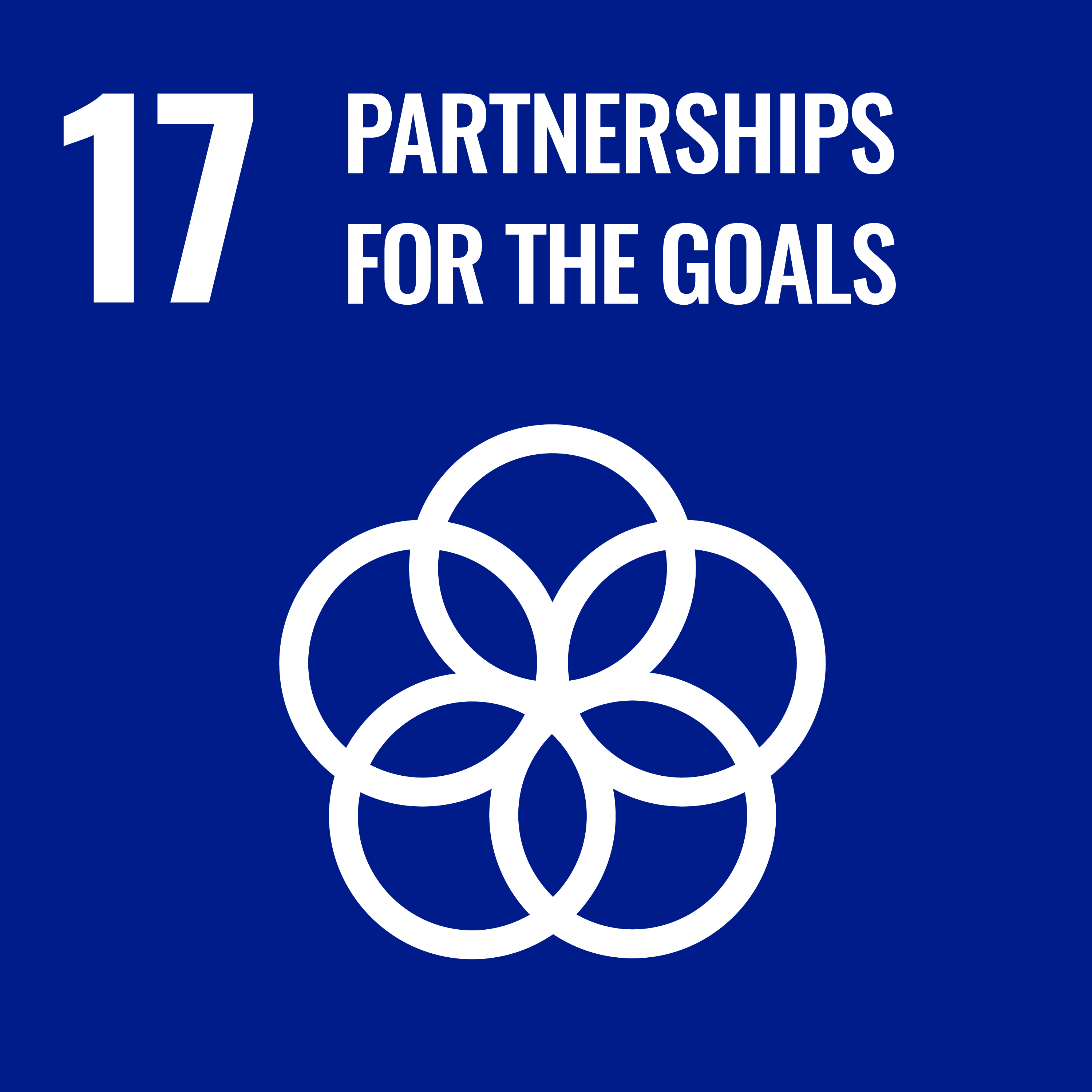 UN sustainable development goal 17