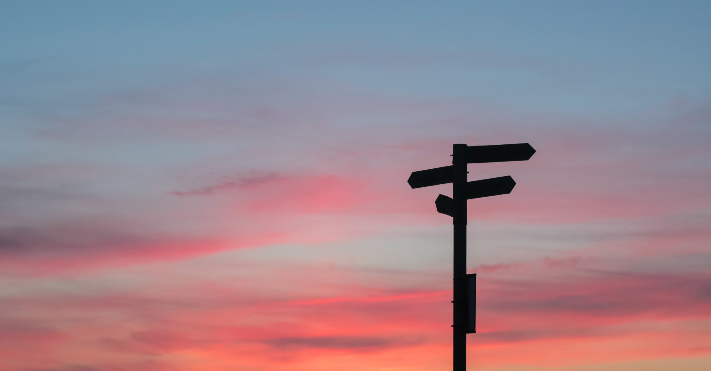Building a resilient, and future proofed supply chain