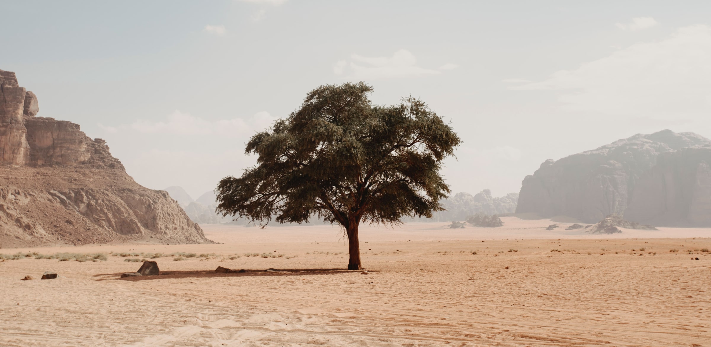 The importance of a resilient supply chain