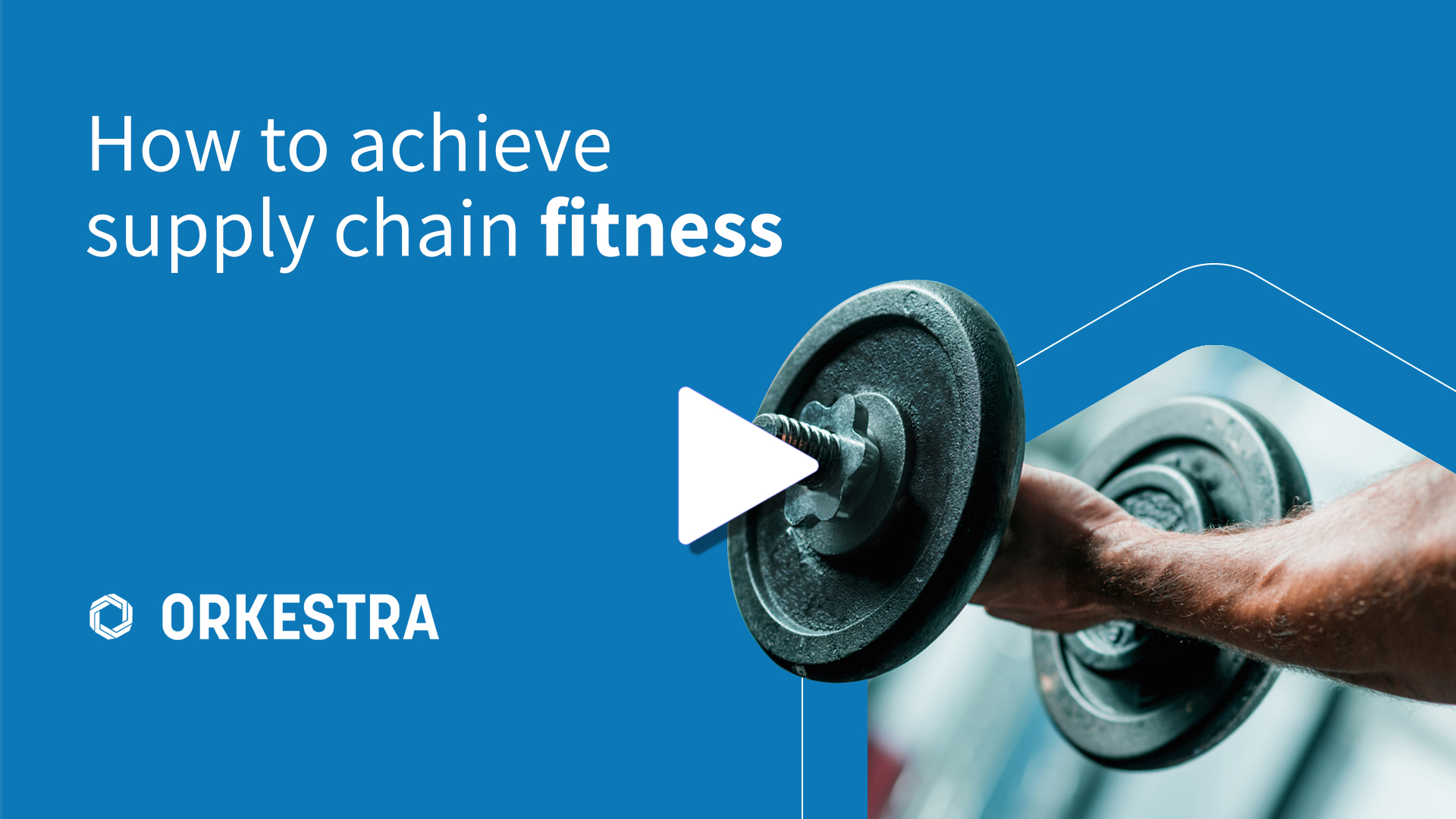 How to Achieve Supply Chain Fitness? Modern Technology and Human Capability - Work Together As One