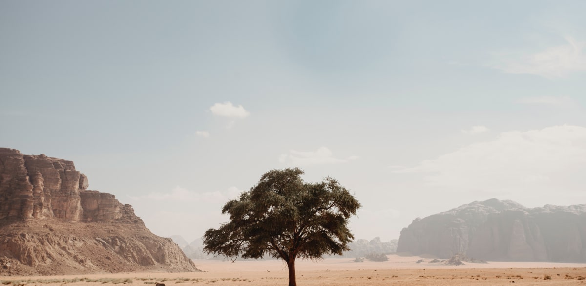 The importance of resilience in global supply chain management
